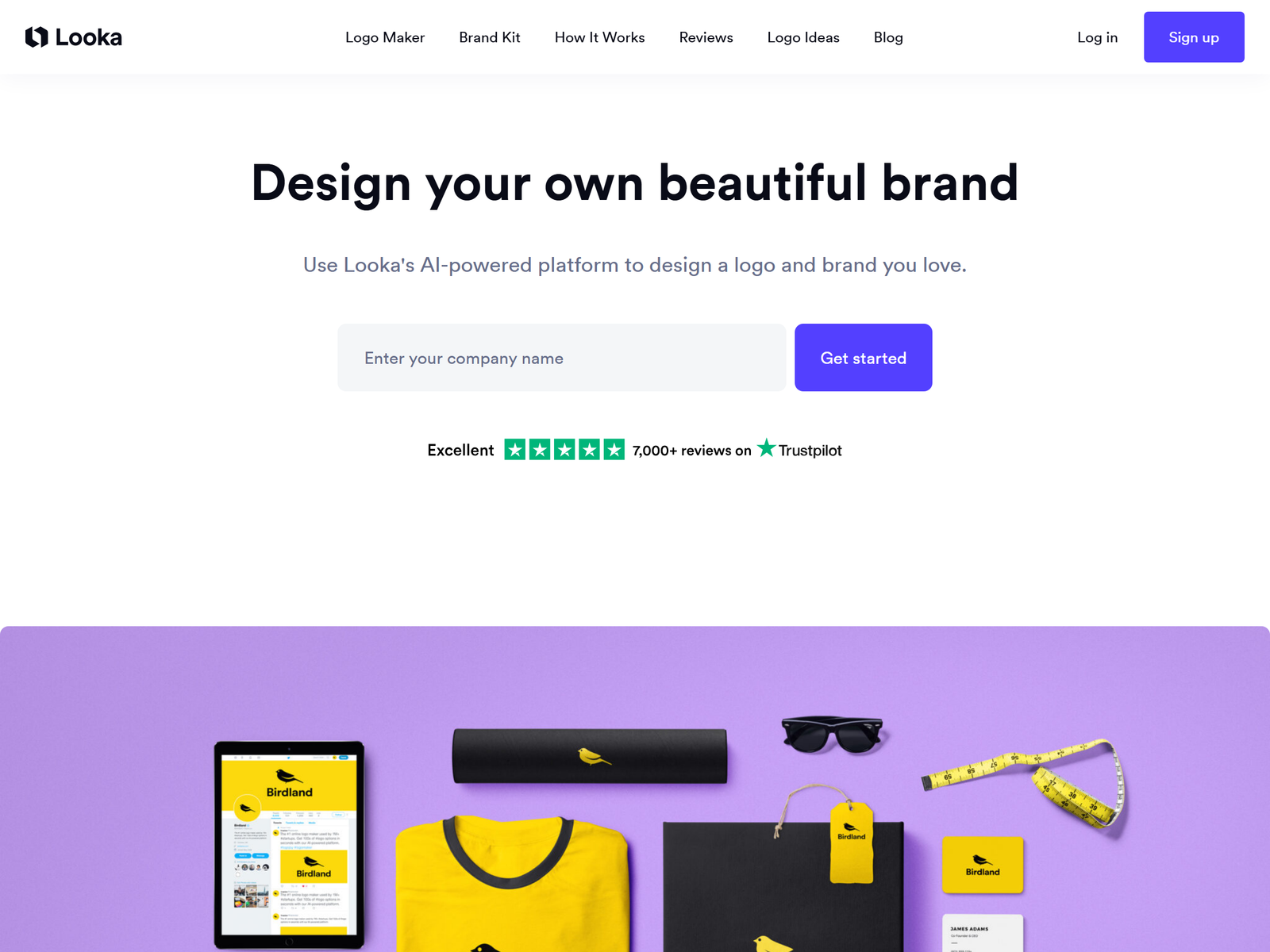 Looka AI Logo and Brand Kit Generator