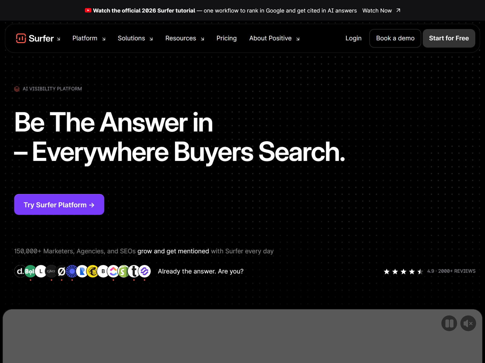 Surfer SEO Content Optimization