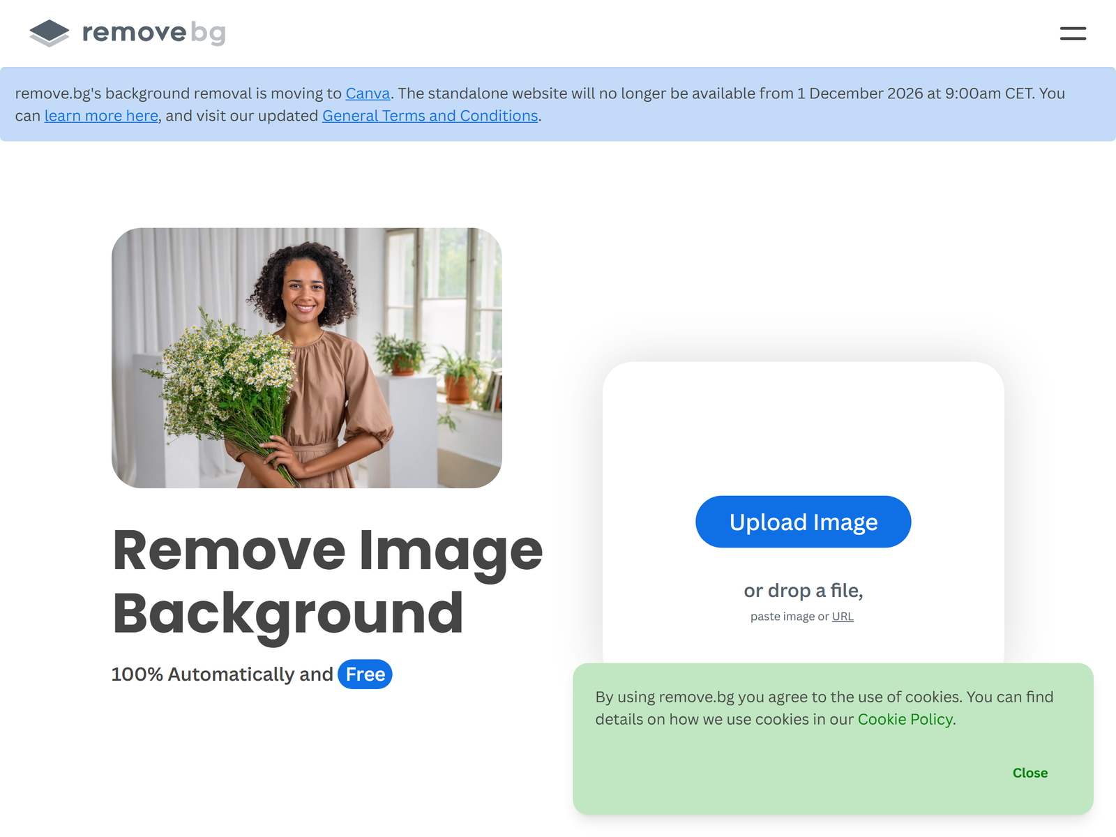 Remove.bg Official Site